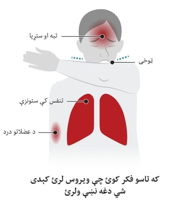 نا لیدلی کرونا او د ځواکمنو بی وسي!