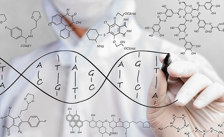 ډي، این، ای “DNA” څه ته وایي؟