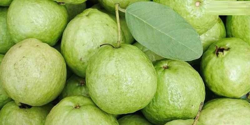 د امروت روغتیايي خواص