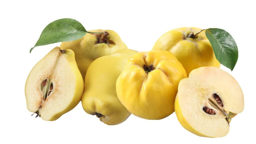 بهي څه ګټې لري؟