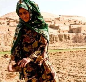 د جوزجان په کرونده کې د تخمونو شیندل