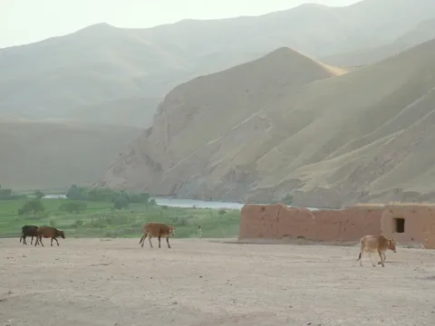 کندوز ته نږدې کلیوالي منظره