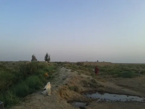 د نیمروز کلیوالي او کرنیزه منظره