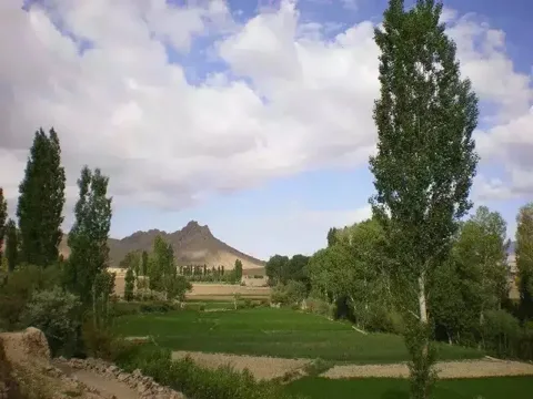 د پکتیا ګډ قلعه منګل کلی