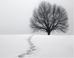 ګام/ اجمل پسرلی