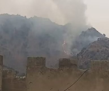 د افغانستان او پاکستان بريدونو ته د نړیوالو غبرګون