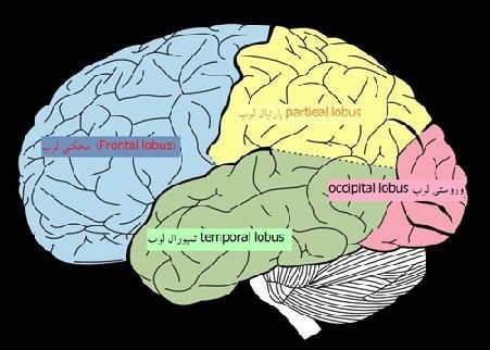 دماغي اختلاطونه او نښې یې