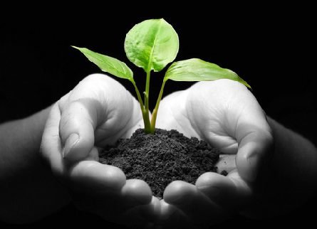 خدای پاماني۴/ عزیزالله انیس