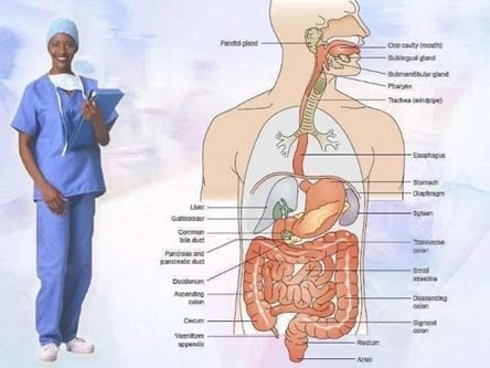 مرۍ ته د تیزاب راپورته کېدل| ډاکټر ش میرهکی