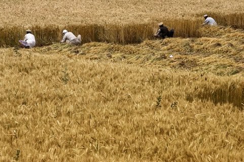 دغنمو  ښکلا | حبیب الرحمن رحیمي 