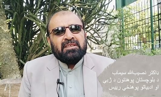 د ګل شپېلۍ ( لنډه کيسه) ډاکټر نصيب‌الله سيماب