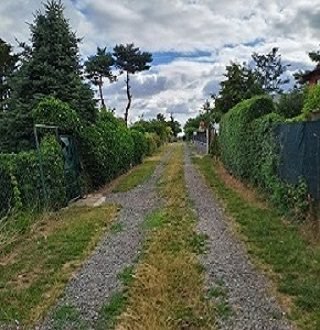 پوښتنې/اجمل پسرلی