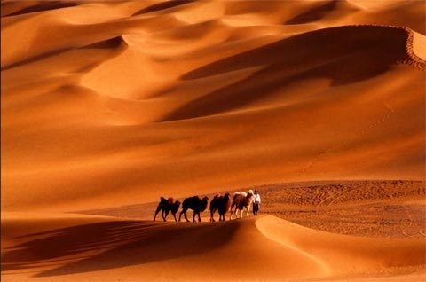 د ورېښمو تاریخي لارې بیا احیا د افغانستان لپاره حیاتي ارزښت لري